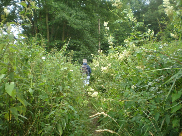 angleur poulseur 031.jpg